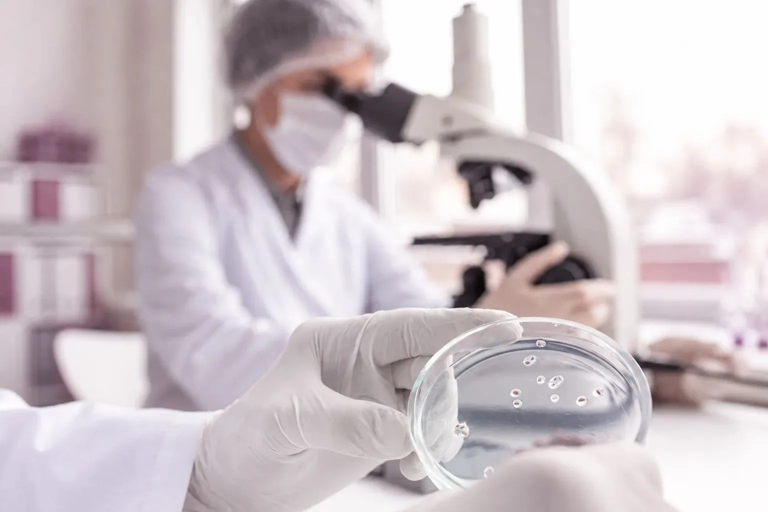 Profesional de laboratorio trabajando con un microscopio